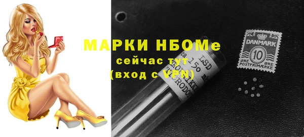амф Пестово