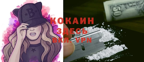 стаф Пересвет