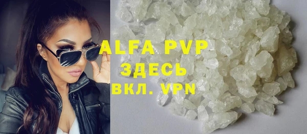 амф Пестово