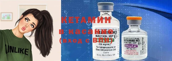 стаф Пересвет