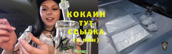 амф Пестово