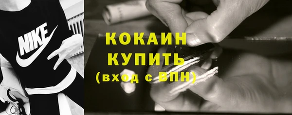 стаф Пересвет