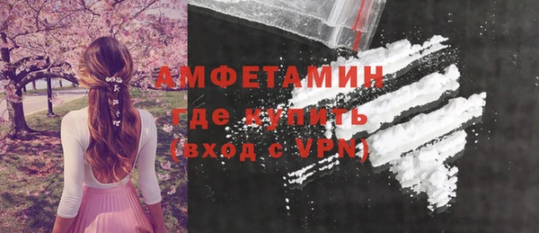 стаф Пересвет