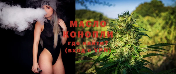 амф Пестово