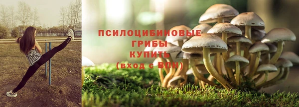 стафф Переславль-Залесский