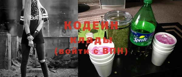 стаф Пересвет